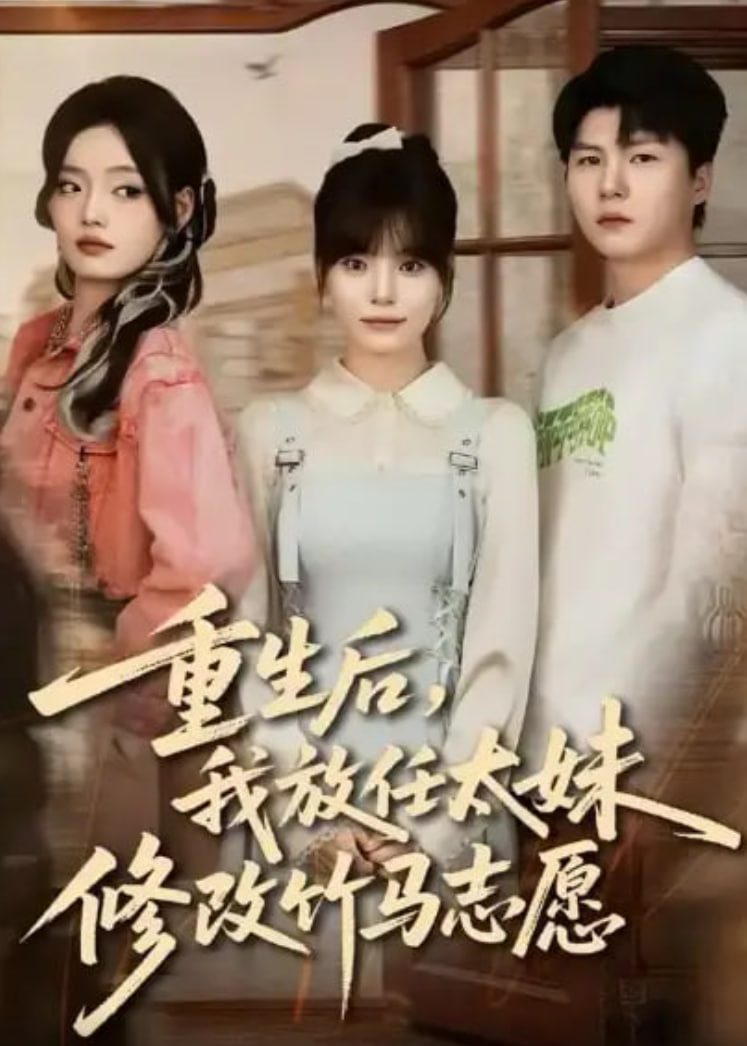 剧集海报
